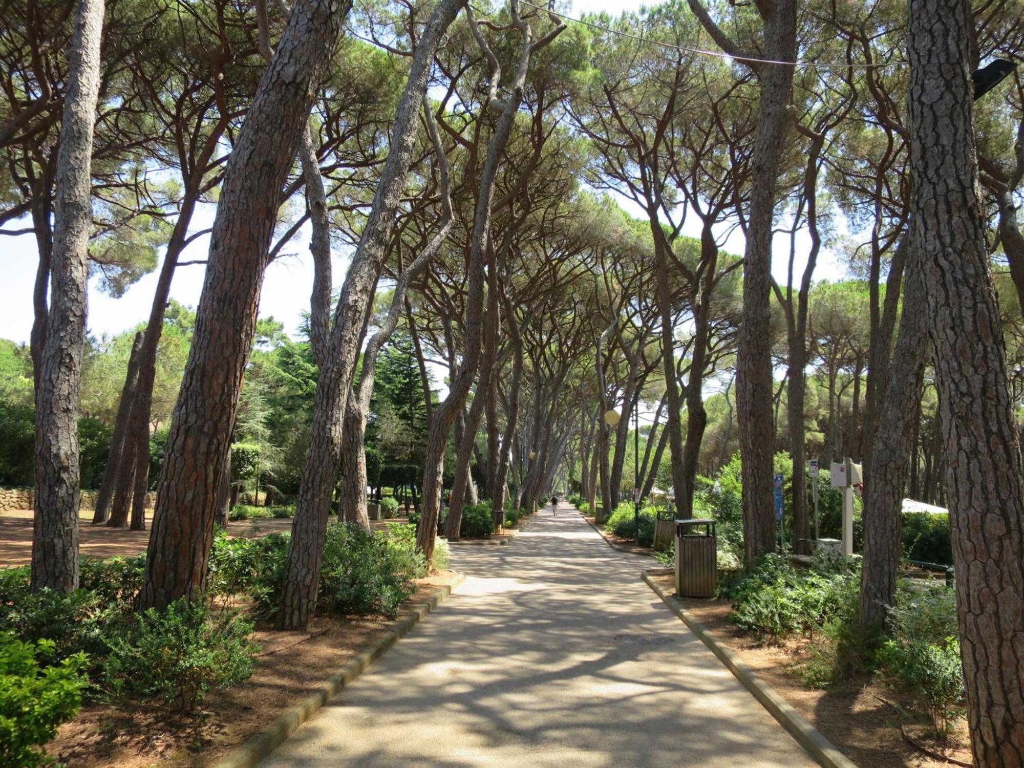 Apartment Casa Al Mare Di Leo By Interhome ロジニャーノ・ソルヴァイ エクステリア 写真